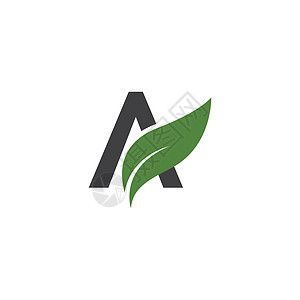 绿叶字母生物生活植物叶子农场树叶生态插图环境绿色高清图片
