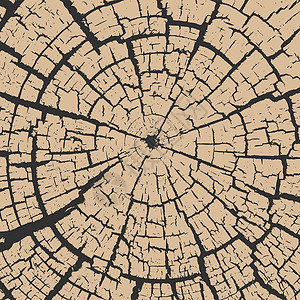 树桩纹理破裂的树桩木材纹理 木质材料表面 复古效果砂砾纹理 天然木树桩痕迹 木材表面 它制作图案矢量木板差距戒指裂缝建造树干日志圆圈植物设计图片