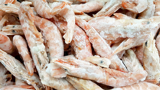 冰冻的虾 很多皇家虾特写肉高清图片素材