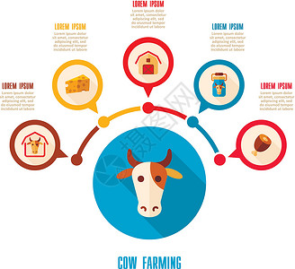 牛分割图牛耕象像和农业人口图农场信息图表牛奶牛棚谷仓牛肉动物农民推介会插画