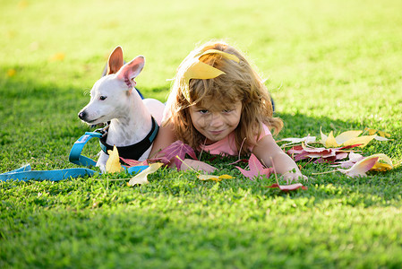 幼儿和他的狗躺在草地上 快乐的男孩孩子和宠物小狗在大自然中 幸福支持友谊夏季动物关心高清图片素材