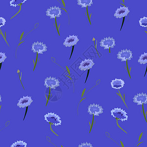 蓝色背景上矢车菊的图案背景图片