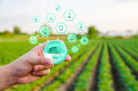 农田图标在农田背景下拿着一个带有创新的地球仪 在农业中使用创新技术 物联网与工业数字化 农业工业和农业综合企业 农业背景