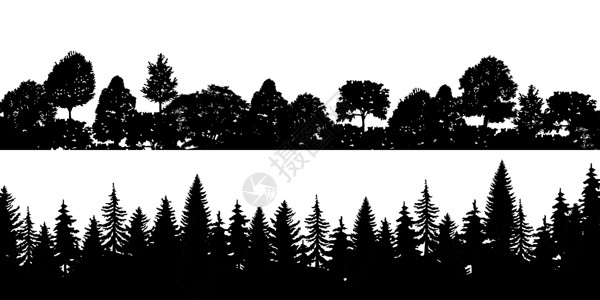 树常青一组黑色水平轮廓针叶林树梢森林松树 针叶云杉全景 常青木公园 白色背景 EP 上的矢量插画