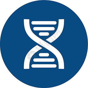Dna 平面图标 医学载体圆形曲线插图药品生物学遗传染色体身体科学生活背景图片