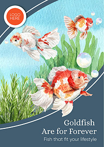 具有金鱼概念 水彩风格的海报模板广告海洋异国水族馆荒野营销金子海藻植物手绘背景图片
