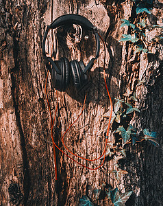 树上耳机 自然音乐的概念背景图片