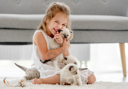 女孩有小猫的破布娃娃友谊猫咪童年乐趣眼睛女性布娃娃幸福快乐动物背景图片