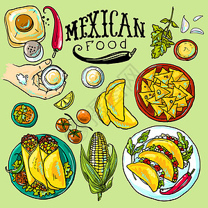 鸡豆凉粉漂亮的手绘墨西哥食物它制作图案草本植物牛肉午餐胡椒插图美食烹饪餐厅植物绘画插画