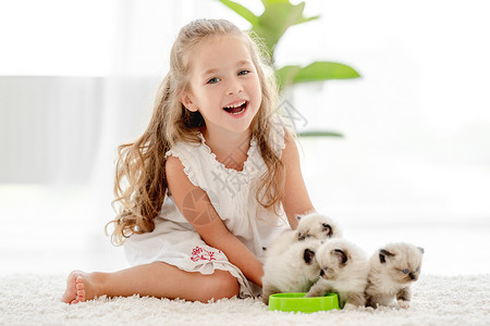 女孩有小猫的破布娃娃乐趣友谊快乐布娃娃食物动物幸福女性眼睛哺乳动物背景图片