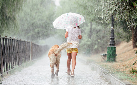 下雨天 女孩带着金色的猎狗城市水坑孩子天气雷雨闲暇下雨喜悦猎犬犬类背景图片