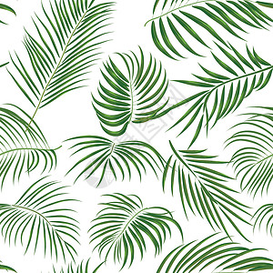 槟榔白色背景上带有棕榈叶丛林异国情调叶的无缝手绘热带图案莎草打印纺织品花园植物棕榈鸡蛋花蕨类插图丛林插画