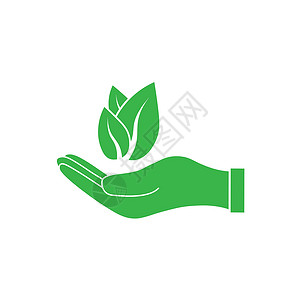 手叶子手掌上的植物叶图标 矢量图解 平板设计生活叶子环境太阳生态帮助商业公司家谱农业设计图片