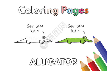 蜡笔鳄鱼Cartoon 鳄鱼分布画册英语卡通片动物爬虫幼儿园学习教育铅笔孩子艺术品设计图片