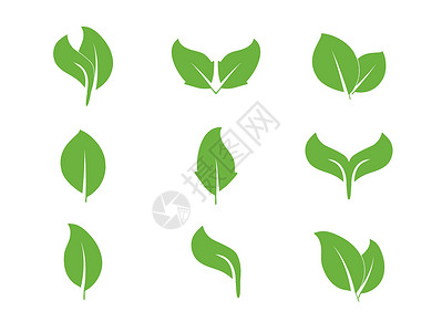 生态 绿色 树叶图标设置 矢量图解植物群食物生活插图生长标签品牌活力生物收藏插画