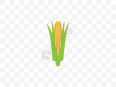 康宁玉米 早餐 食物 矢量插图 平板设计耳朵金子玉米芯蔬菜粮食植物营养棒子烧烤农业插画