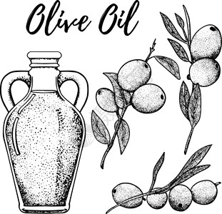 老橄榄树橄榄套装 手绘矢量图 橄榄油 用于化妆品或食品 素描风格矢量有机食品插画瓶子涂鸦食物艺术水果叶子收藏烹饪蔬菜餐厅设计图片