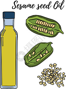 一勺黑芝麻油套 手绘矢量图 芝麻油 用于化妆品或食品 素描风格矢量有机食品插画叶子艺术草图烹饪收藏瓶子黑芝麻绘画厨房雕刻设计图片