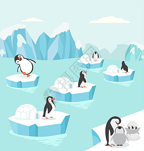 北极两极的企鹅系列背景高清图片