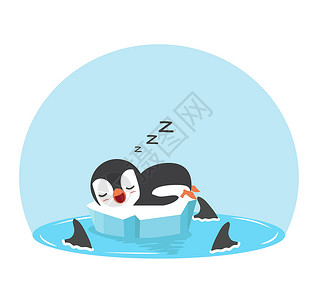 很专心的企鹅企鹅和鱼鳍鲨鱼睡得很可爱插画