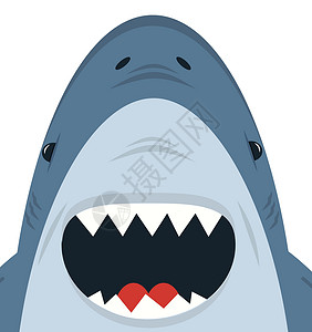 白鳍礁鲨鱼可爱的白鲨鱼张嘴矢量插画