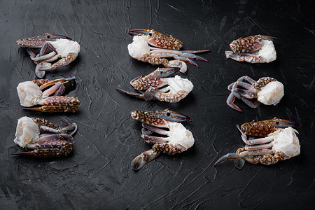 黑色底底浅蓝色鲜生游泳的螃蟹海藻部分野生动物美味烹饪动物荒野生活海洋背景海鲜甲壳背景图片