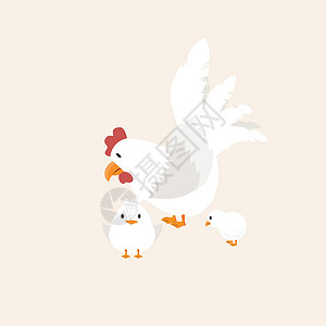 白砍鸡白母鸡与小鸟动物矢量插画
