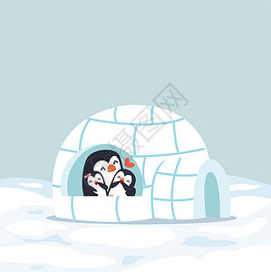 可爱小企鹅企鹅在冬天对小伊格鲁冰屋很满意设计图片