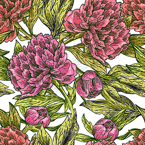 手绘花植物繁荣花园绘画装饰墙纸插图卡片手绘花艺术背景图片