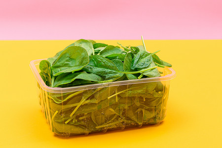 黄色背景透明塑料套件中新鲜的婴儿菠菜叶新片植物绿叶减肥活食蔬菜草本植物生食沙拉排毒绿色背景图片