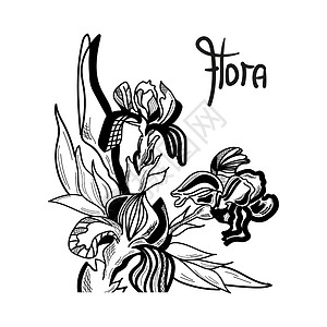 鸢尾花用字母 Flora 以图形方式绘制设计图片