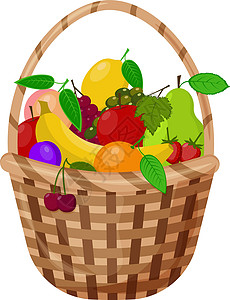 多汁李子大篮子里有新鲜成熟多汁的水果 如苹果 桃子 香蕉 李子 葡萄 还有柠檬 橙子 梨和草莓 还有樱桃 秋天的矢量图在白色背景下被隔离插画