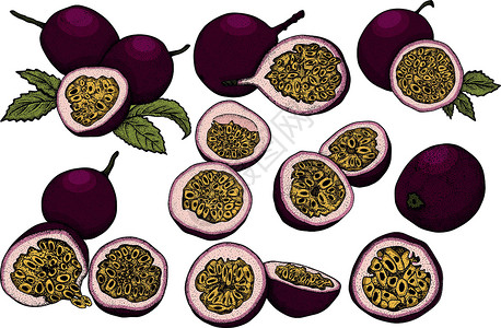 果莓冰沙矢量手绘套西番莲果 百香果插图 美味的热带素食对象 用于餐厅 菜单 冰沙碗 市场 商店 派对装饰 餐点标签蚀刻绘画草图甜点紫色食插画