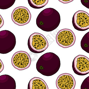 黄色百香果矢量手绘百香果无缝图案 美味的热带素食对象 用于餐厅 菜单 冰沙碗 市场 商店 派对装饰 餐点甜点绘画标签热情草图植物学水果紫色插画