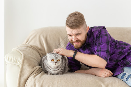 虎式时髦的长胡子男嬉皮士在沙发上摆着他美丽的灰色苏格兰式折叠猫伴侣虎斑工作室短发眼睛婴儿尾巴动物小猫晶须背景