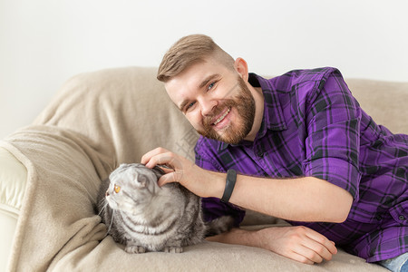 虎式时髦的长胡子男嬉皮士在沙发上摆着他美丽的灰色苏格兰式折叠猫小猫婴儿宠物潮人短发毛皮工作室尾巴猫咪眼睛背景