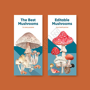 带有蘑菇和森林植物概念 水彩色风格的飞板模板植物学插图收成食物林地菌类蔬菜植物群水彩饮食背景图片