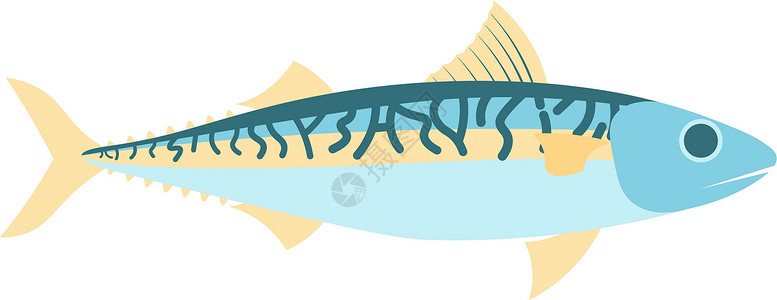日式料理生鱼片Mackerel 矢量说明设计图片