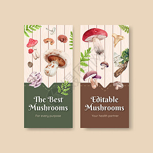 带有蘑菇和森林植物概念 水彩色风格的飞板模板营销水彩植物群菌类饮食植物学小册子食物插图蔬菜背景图片