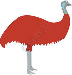 白色场地Emu 矢量说明 Emu 在白色背景上被孤立的鸟类插画