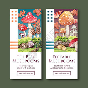 带有蘑菇和森林植物概念 水彩色风格的飞板模板林地食物植物群营销广告插图植物学小册子蔬菜饮食背景图片
