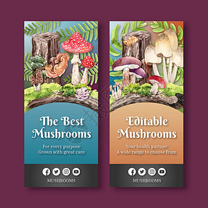 带有蘑菇和森林植物概念 水彩色风格的飞板模板饮食收成植物学小册子食物菌类水彩插图林地季节背景图片