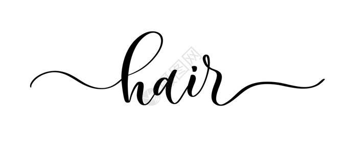 书法工作室头发-矢量书法铭文 线条流畅 用于公司 标签和设计商店 美容院 美发师和您的企业的名称和徽标插画