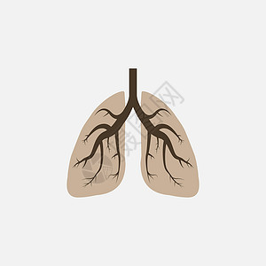 奥莱肺部 医用图标 矢量插图 平面设计器官支气管呼吸艺术网络生物烟道标识胸部哮喘插画