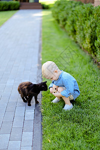 猫和小孩穿着牛仔裤衬衫的小caucasian男性男孩站在院子里和猫站在一起背景