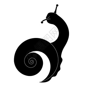 蜗牛符号 白色背景上孤立的黑色蜗牛剪影 蜗牛图标 矢量图 用于膏体包装印刷 网页背景图片