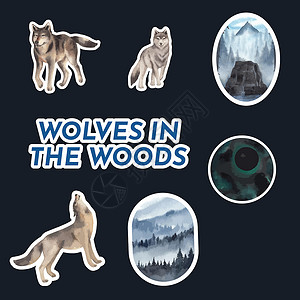 冬季概念中用狼标贴标签模板 水色风格毛皮营销哺乳动物猎人动物力量品牌荒野水彩羊毛背景图片