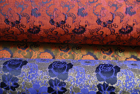 紫色地毯海葵高清图片