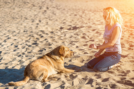 身着太阳镜的年轻美人肖像 坐在沙滩上 带着金色猎犬 海路女孩与狗同行训练海洋朋友行动女性宠物游戏拥抱运动微笑背景