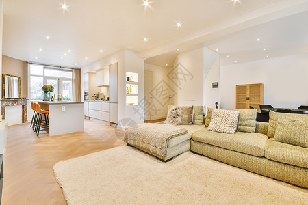 时髦的客厅和软绿色大沙发风格财富建筑住宅装饰公寓建筑学家具房子房地产背景图片